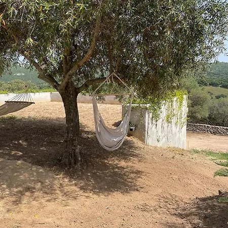 Lu Chissoni - Vecchia Casa Padronale Gallurese *