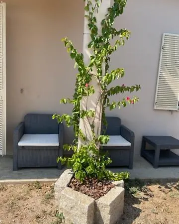 Prázdninový dům Lu Chissoni - Vecchia Casa Padronale Gallurese *